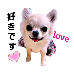 KIKIAOMI_dogStamp