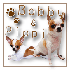 Bobby& Pippi