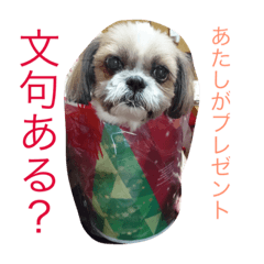 momo maron M&M