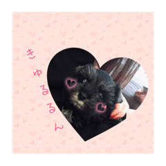 rina_20210826210630