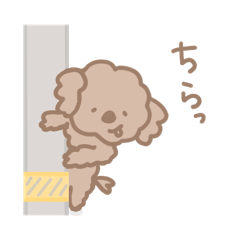 Toy Poodle-kun's Diary-Daily Edition-