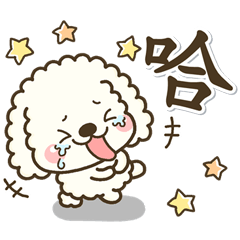 otona white toy poodle dog sticker