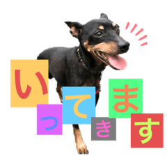 Ayumi_20210827052827