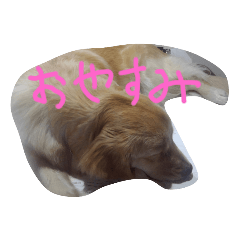 Hana_20210827074529