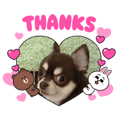 Cocoa_20210827134705