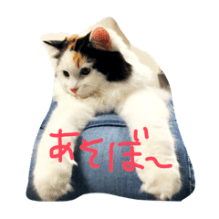 猫の天ぷらスタンプ Line スタンプ Line Store