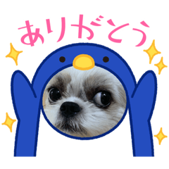 hana_20210827122038