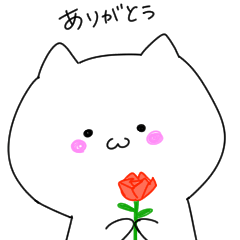 Necoの日常会話