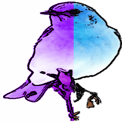 Purple bird Cyan bird remix