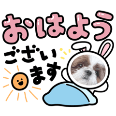 aoi_20210821223328