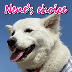 nene's choice