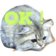 choconyan4