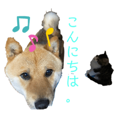 shizu_20210827133908