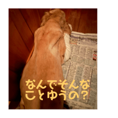 ACE_20210827172752
