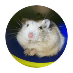 Himawari_20210827173855