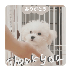 koko_20210827144201