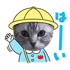 Suzu_20210827194847