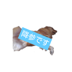 Hana_20210827141936