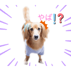 Rina_20210827201919