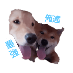 Hana_20210827215629