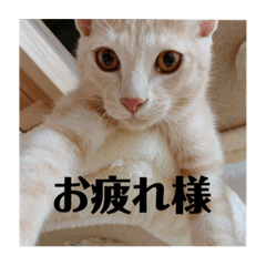 grace_20210828003156