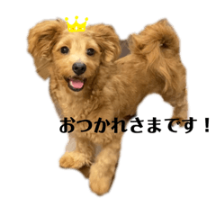 chihiro_20210828073019