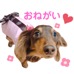 natsumi_20210827202824