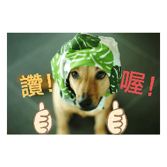 布丁丁的貼圖  2版