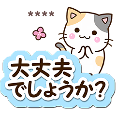 Cute Calico cat (Custom12)