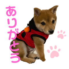 AOI_20210827213815