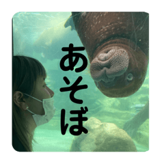 rina_20210827214548