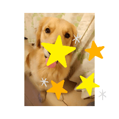 yuto_20210827201023