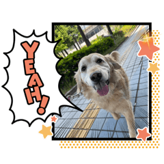 Arisa_20210827213418