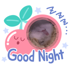 hona_20210828021803