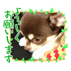 Cocoa_20210828001632