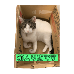 ACE_20210828071036