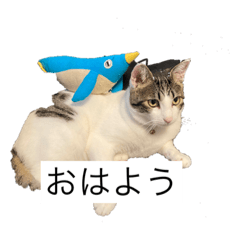 ACE_20210828073431