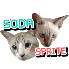 Soda&Sprite