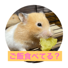 satoshi_20210828113110