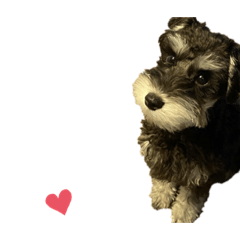 kaori_20210828124812