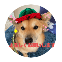yuka_20210828134340