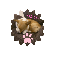 konatsu_20210828000414