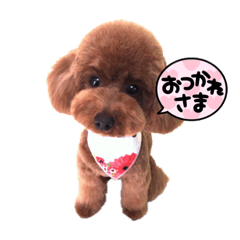 Suzu_20210828141919