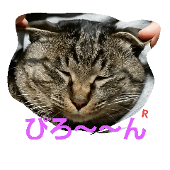 cat-myname..rav