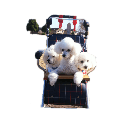 AKIKO_20210828161553