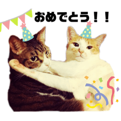 mizuki_20210828182206