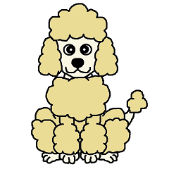 Daylife with Poodle(cream)