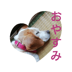 rei_20210828163620