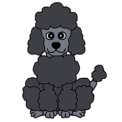 Daylife with Poodle(silver)