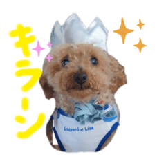 akiko_20210828180947